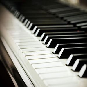 美女屁股㊙️免费看
