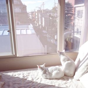 美女屁股㊙️免费看
