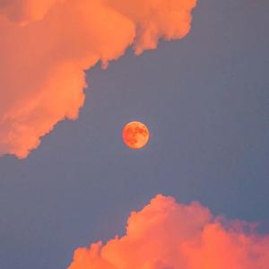 美女屁股㊙️免费看
